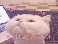山东沐泽商贸有限公司