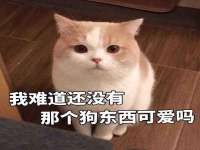 山东沐泽商贸有限公司