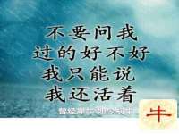 山东沐泽商贸有限公司