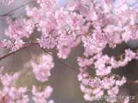山东沐泽商贸有限公司