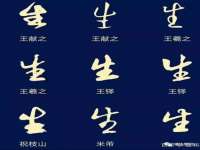 山东沐泽商贸有限公司