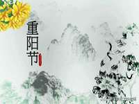 山东沐泽商贸有限公司