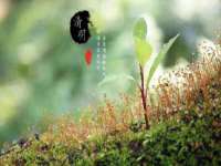 山东沐泽商贸有限公司