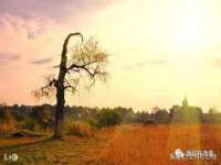 山东沐泽商贸有限公司