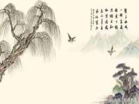 山东沐泽商贸有限公司