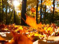 山东沐泽商贸有限公司