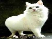 山东沐泽商贸有限公司