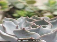 山东沐泽商贸有限公司