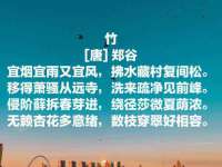 山东沐泽商贸有限公司