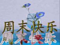 山东沐泽商贸有限公司