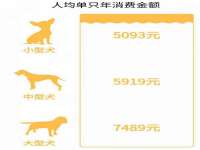 山东沐泽商贸有限公司