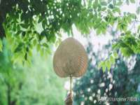 山东沐泽商贸有限公司