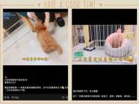 山东沐泽商贸有限公司