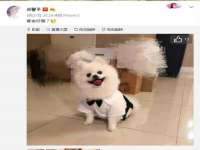 山东沐泽商贸有限公司