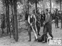 山东沐泽商贸有限公司
