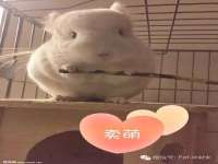 山东沐泽商贸有限公司