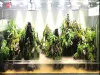 山东沐泽商贸有限公司