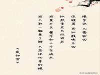 山东沐泽商贸有限公司