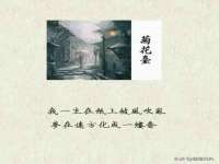 山东沐泽商贸有限公司