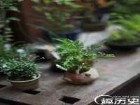 山东沐泽商贸有限公司