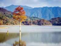 山东沐泽商贸有限公司