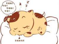 山东沐泽商贸有限公司