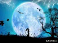 山东沐泽商贸有限公司