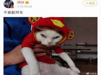 山东沐泽商贸有限公司